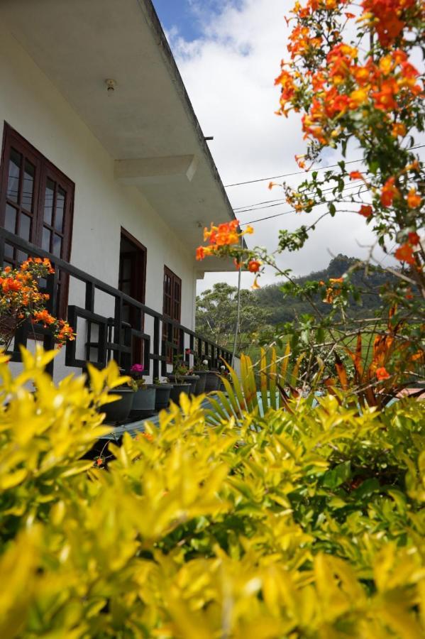The Train View Bed and Breakfast Nuwara Eliya Eksteriør billede