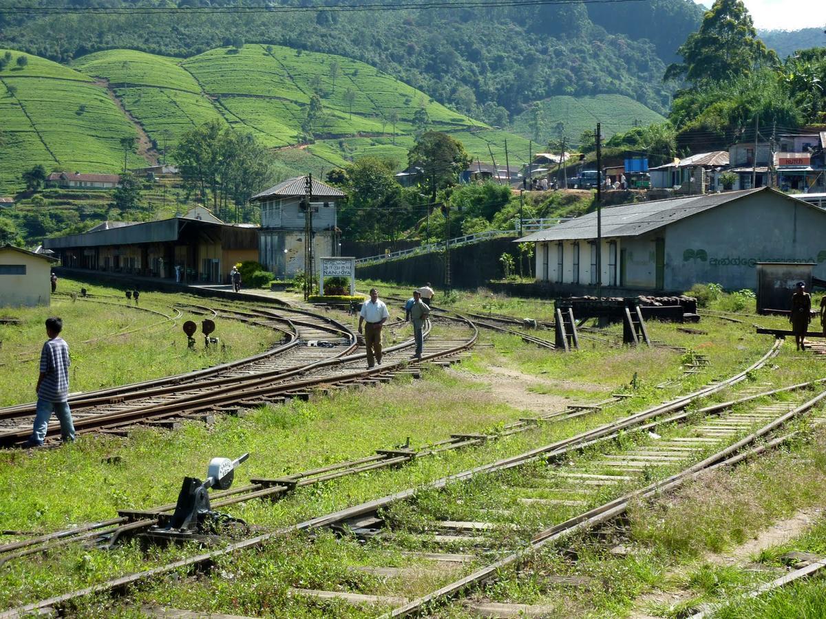 The Train View Bed and Breakfast Nuwara Eliya Eksteriør billede