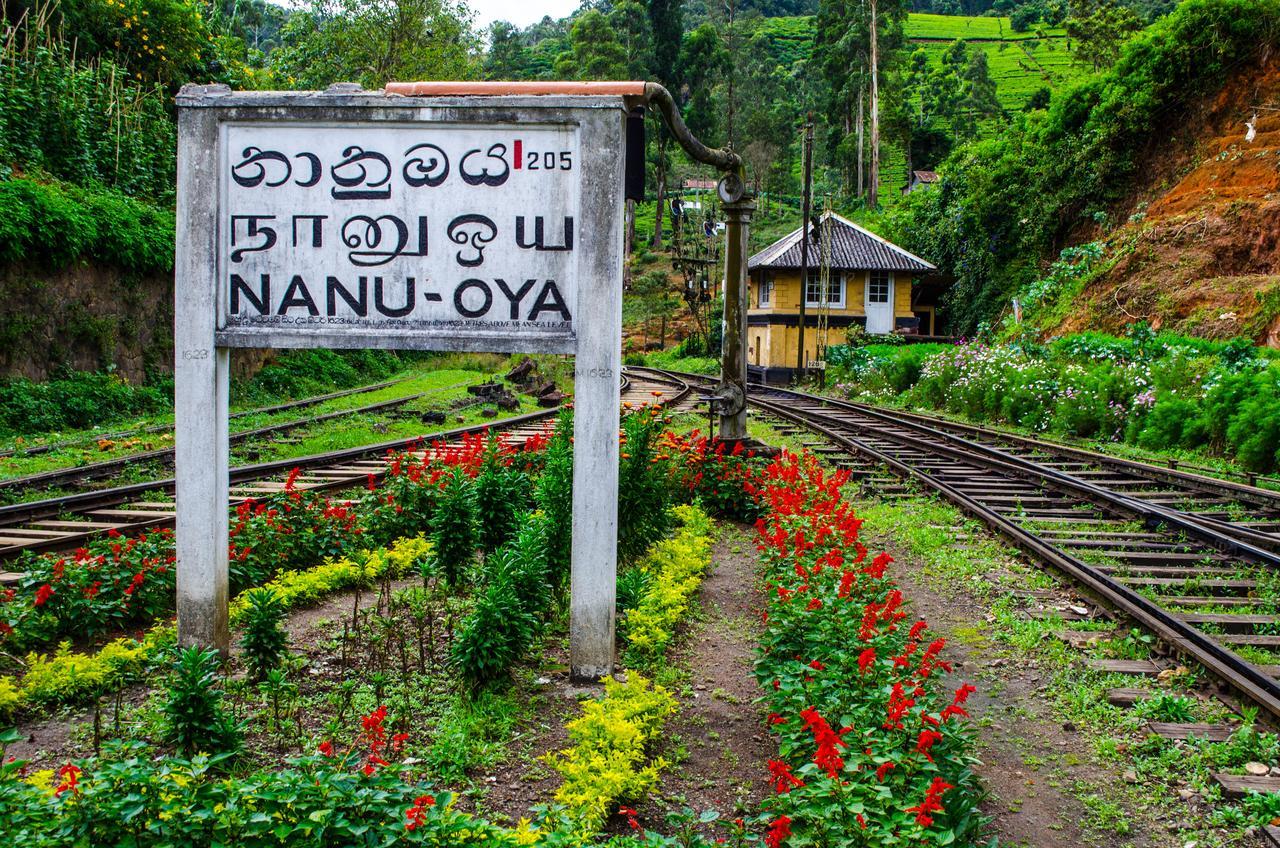 The Train View Bed and Breakfast Nuwara Eliya Eksteriør billede